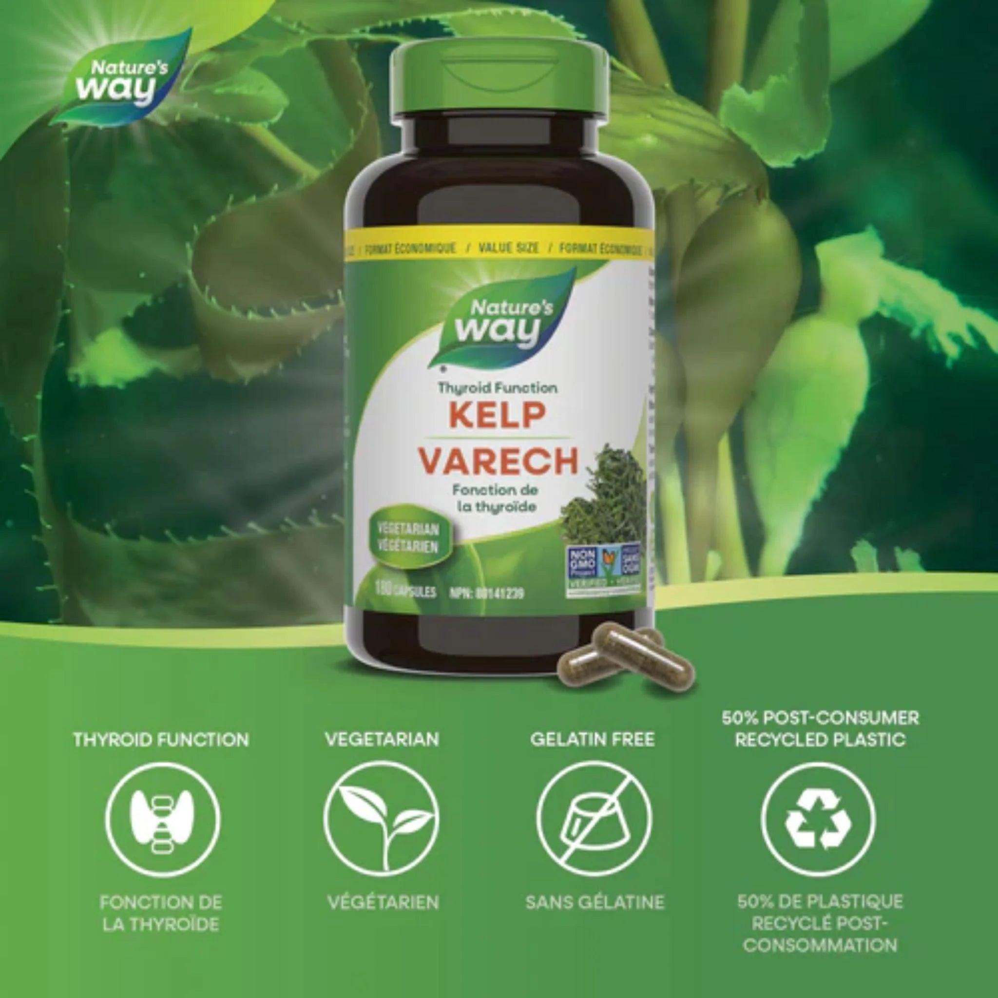 Nature's Way Kelp 180 Veg-Capsules