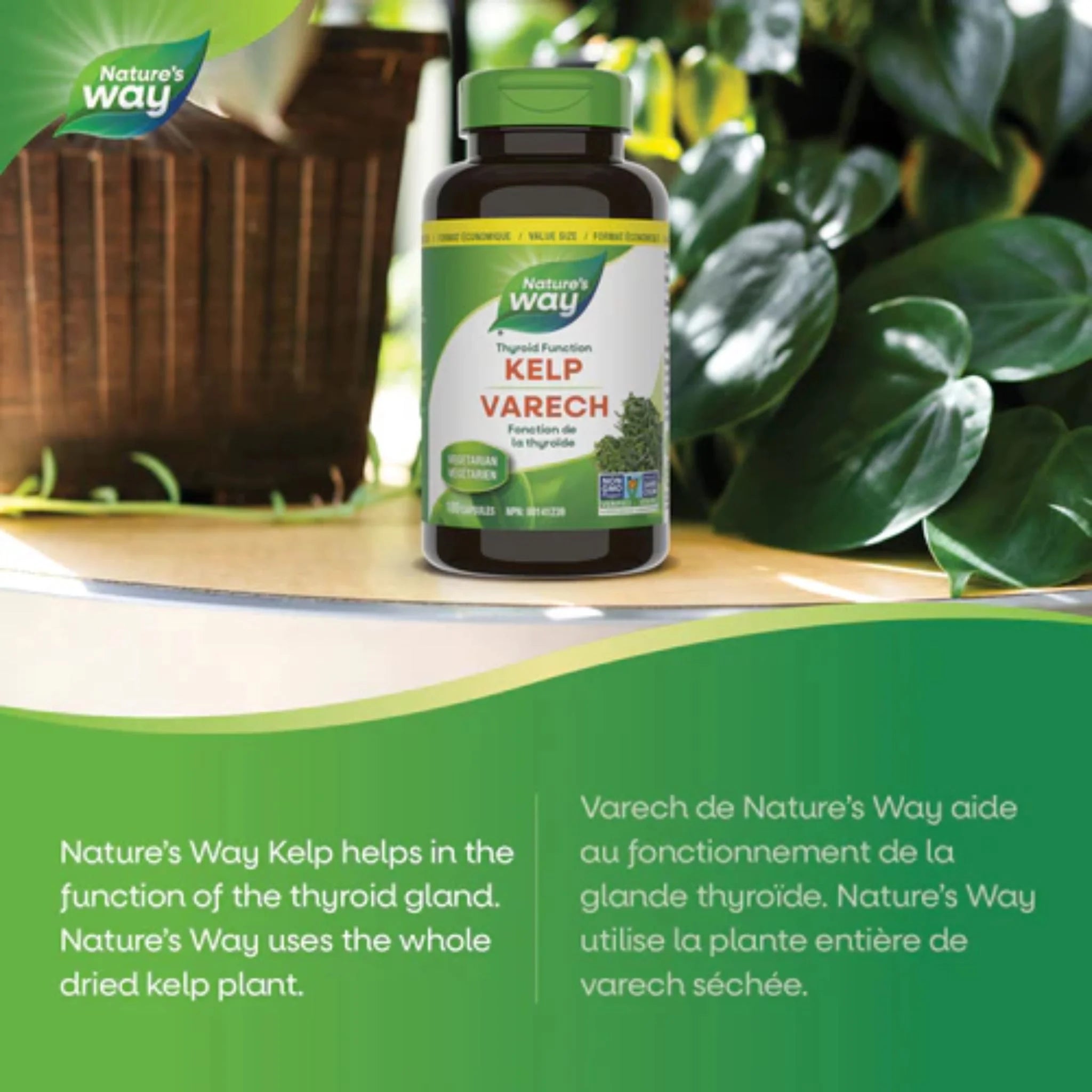 Nature's Way Kelp 180 Veg-Capsules