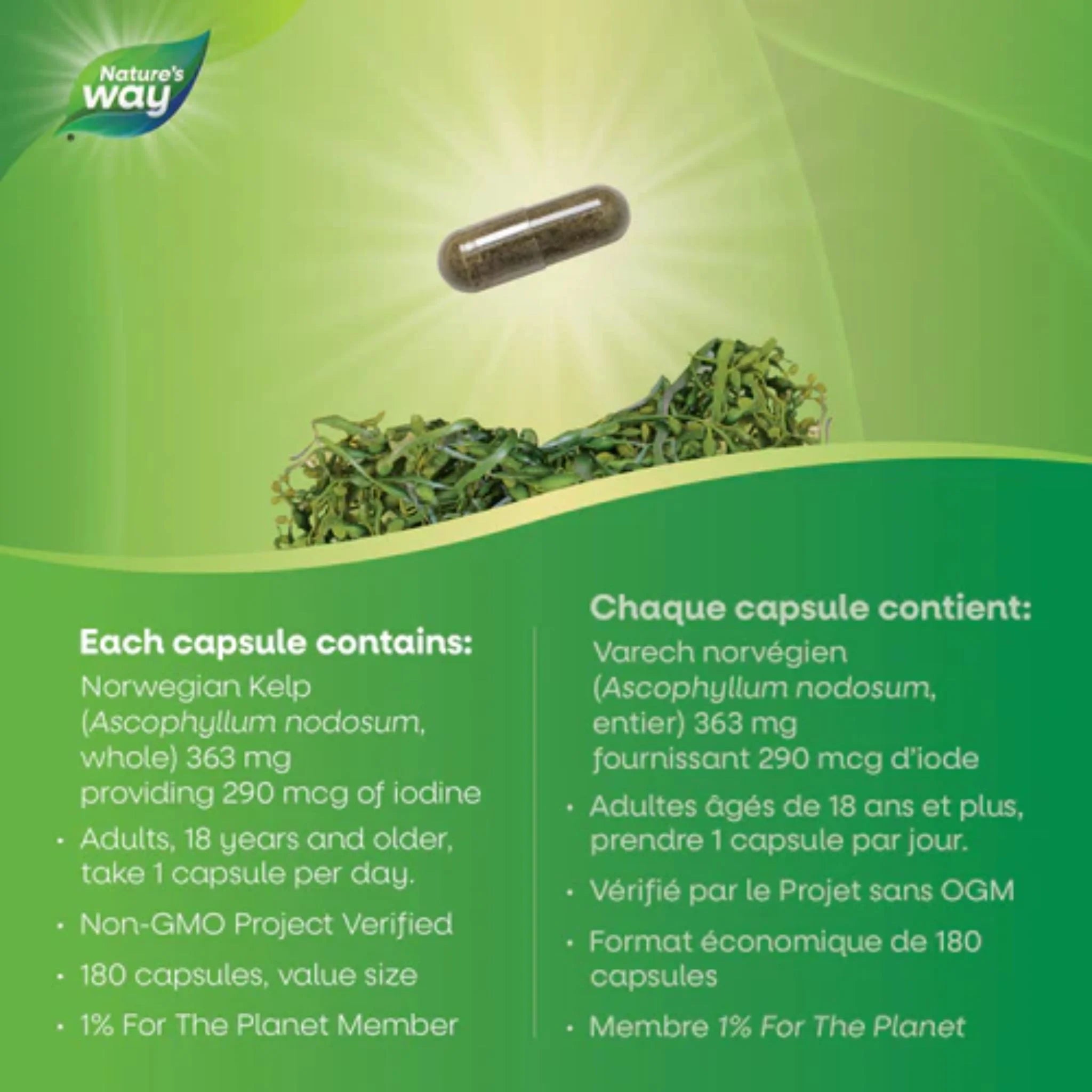 Nature's Way Kelp 180 Veg-Capsules