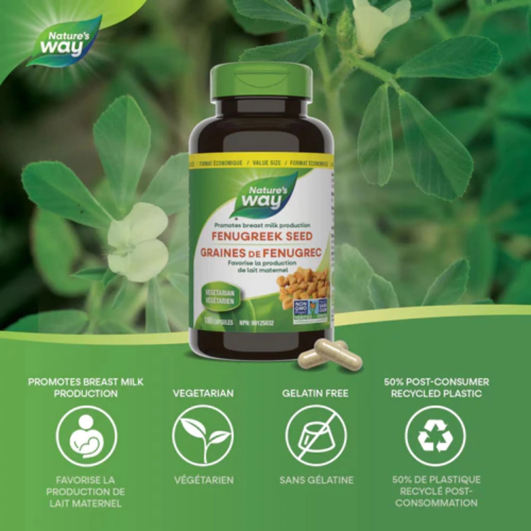 Nature's Way Fenugreek Seed 180 Veg-Caps