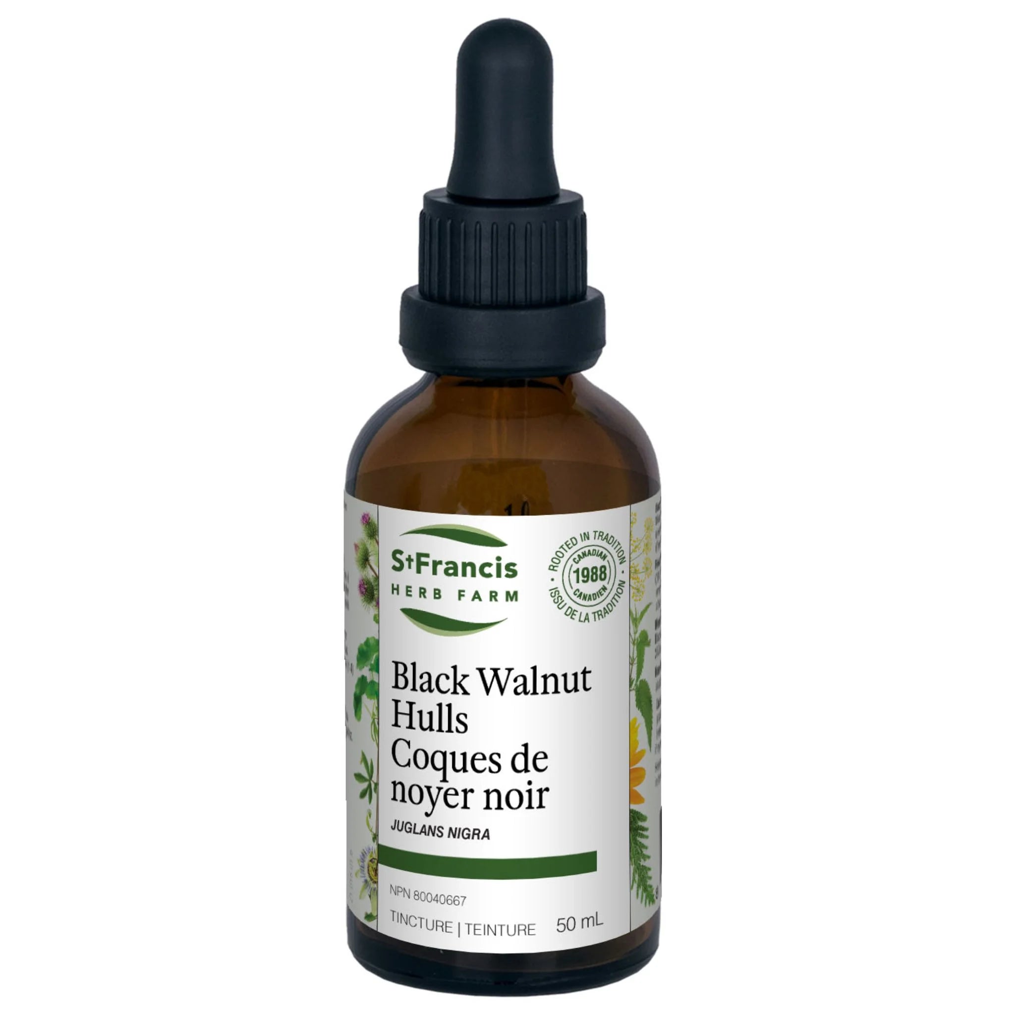 St. Francis Herb Black Walnut Hulls 50ml - Nature's Source Inc