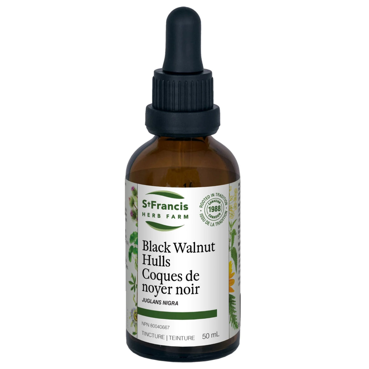 St. Francis Herb Black Walnut Hulls 50ml - Nature's Source Inc