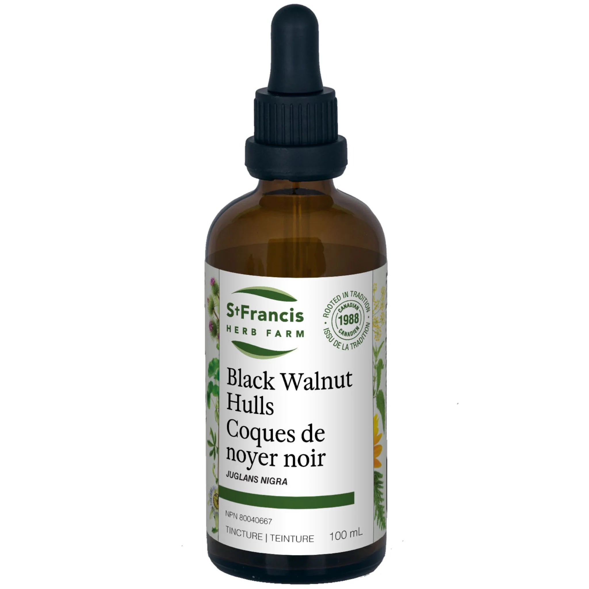 St. Francis Herb Black Walnut Hulls 100ml - Nature's Source Inc