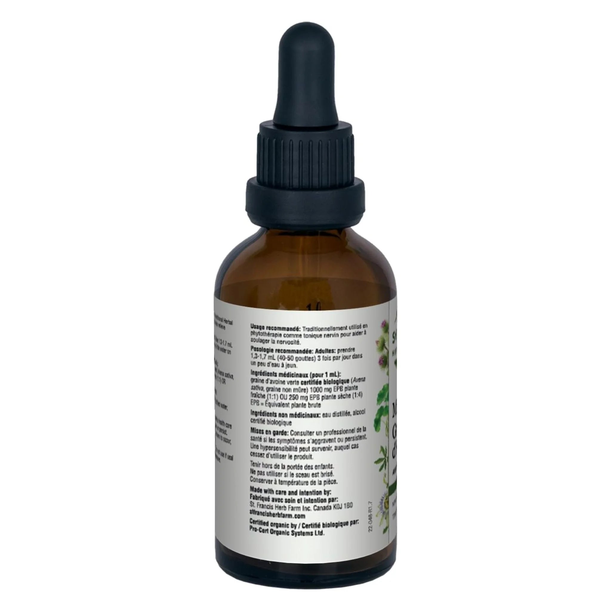 St. Francis Herb Milky Oat Seed 50ml - Nature's Source Inc