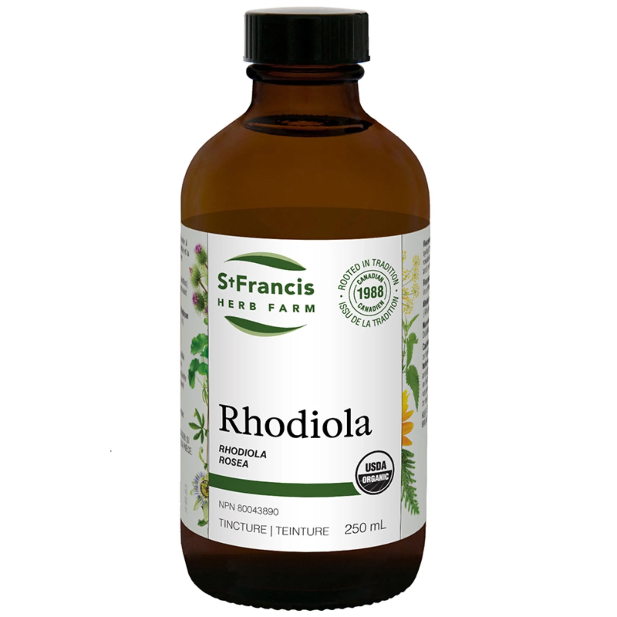 St. Francis Herb Rhodiola 250ml - Nature's Source Inc