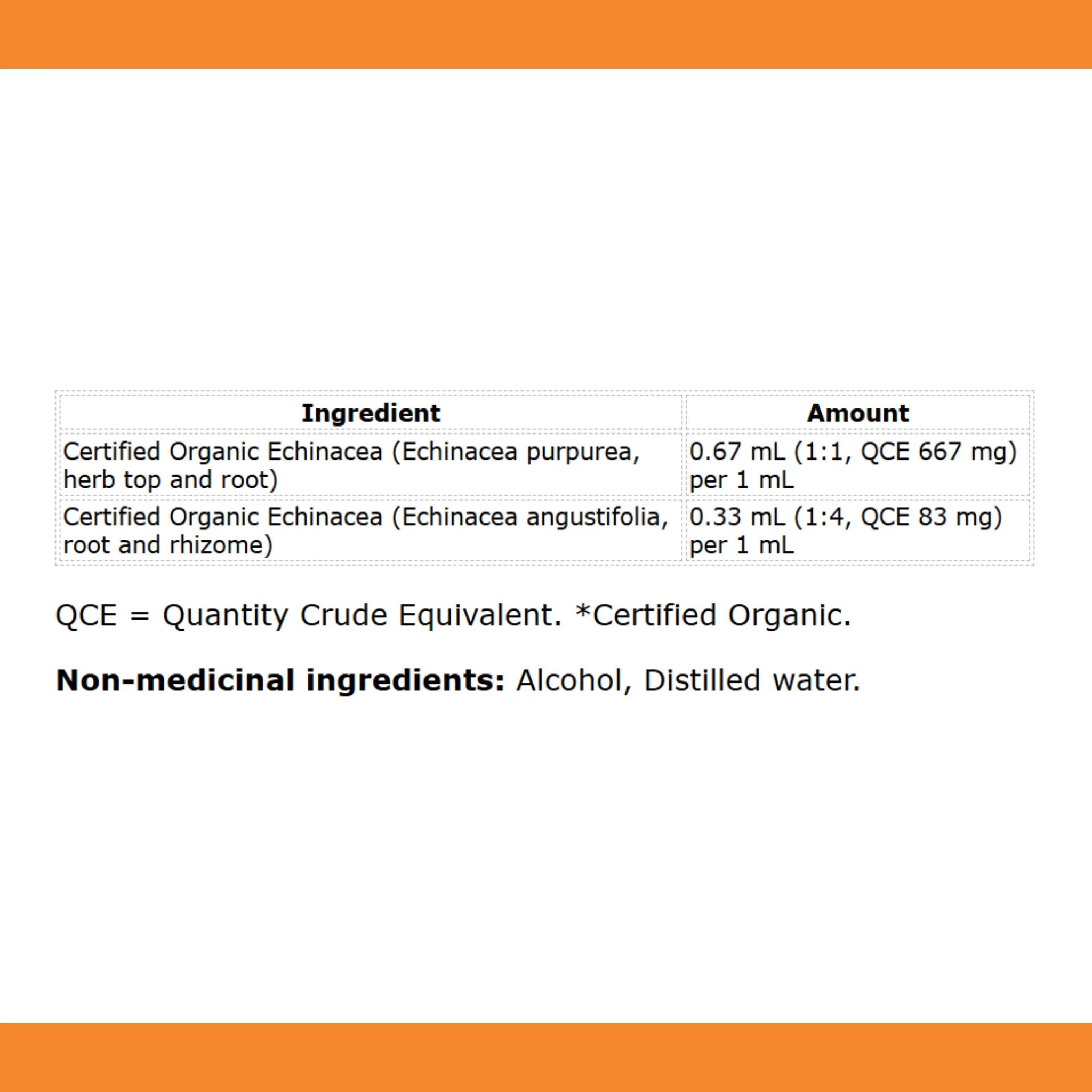 St. Francis Herb Echinacea Plus 100ml - Nature's Source Inc