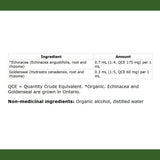 St. Francis Herb Echinacea Goldenseal 100ml - Nature's Source Inc