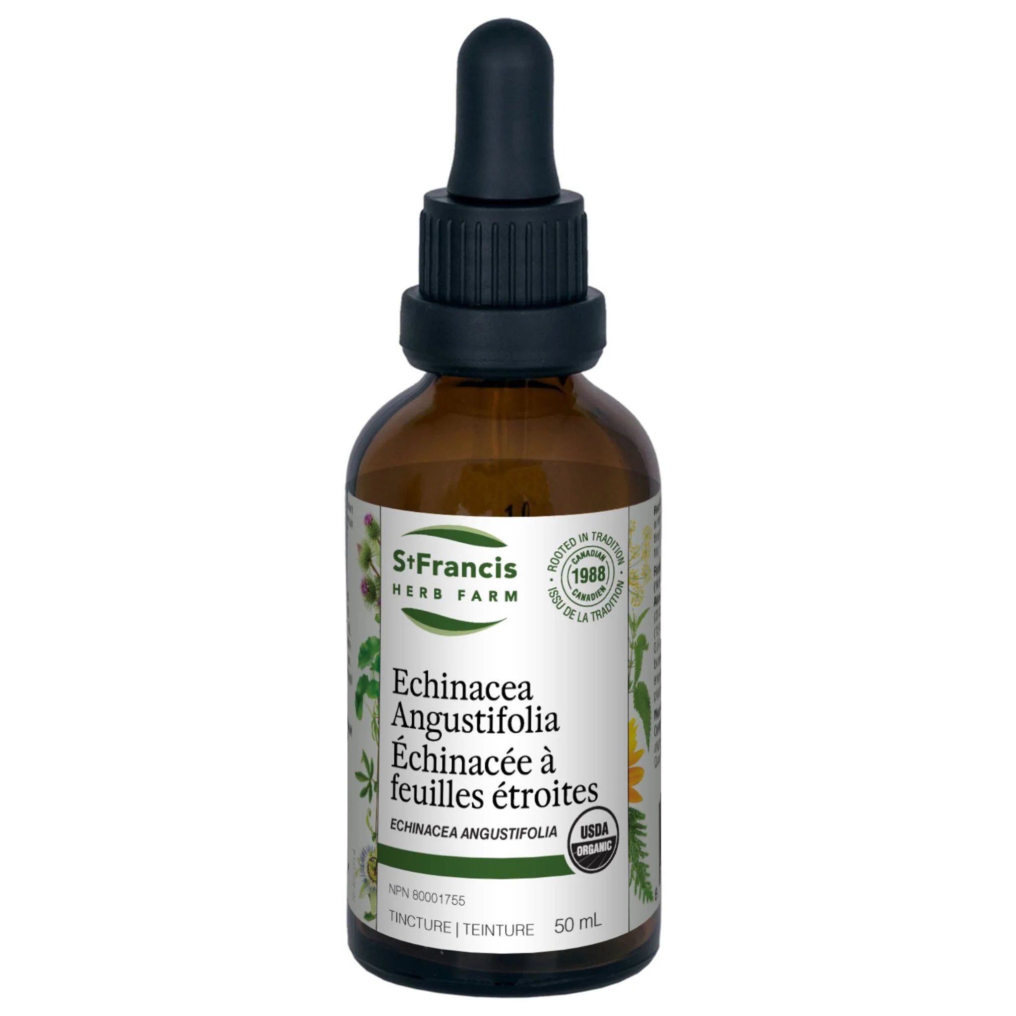 St. Francis Herb Echinacea Angustifolia 50ml - Nature's Source Inc