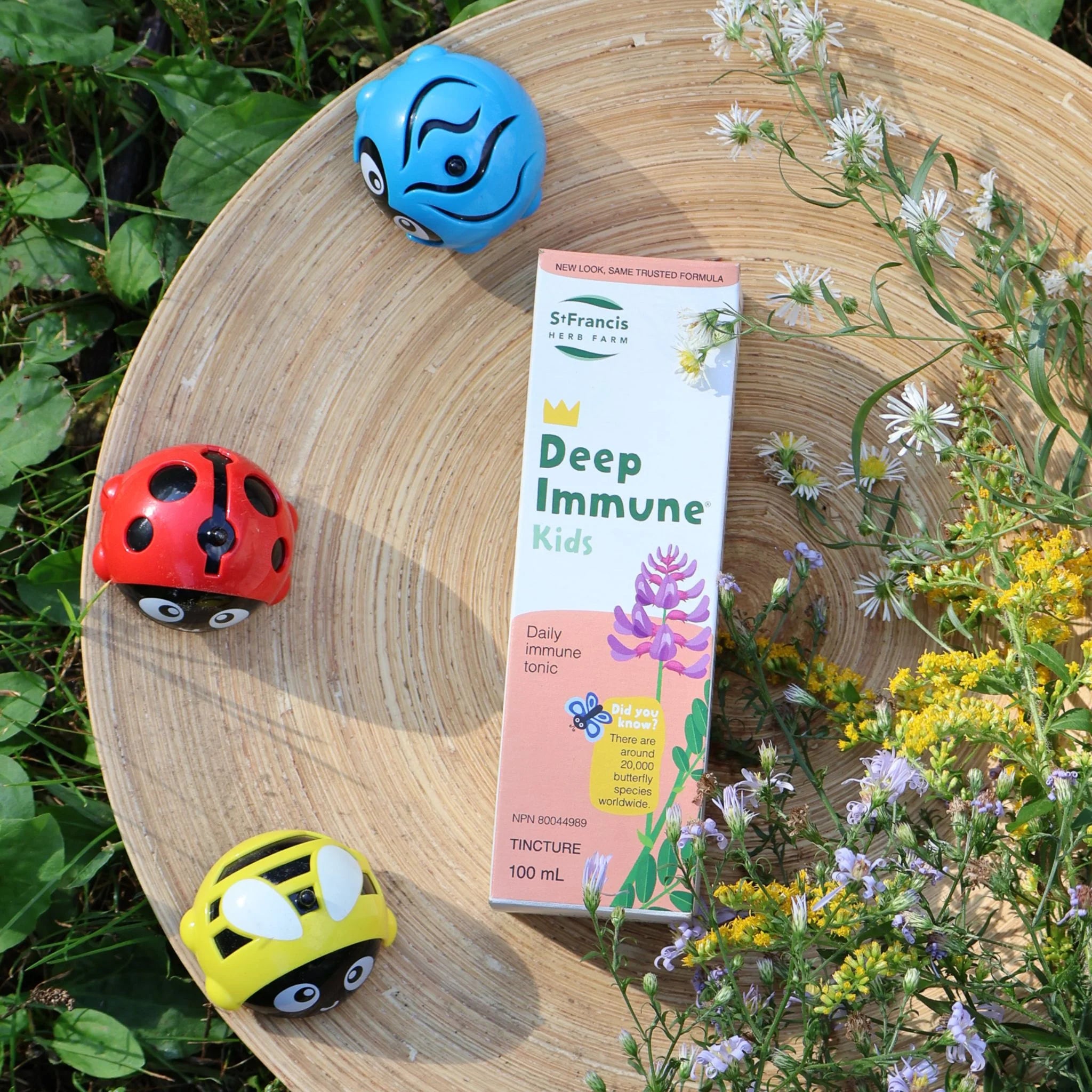 St. Francis Herb Farm Deep Immune Kids 100ml - Nature's Source Inc