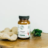 St. Francis Herb Ginger 60caps - Nature's Source Inc
