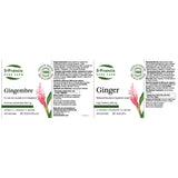 St. Francis Herb Ginger 60caps - Nature's Source Inc