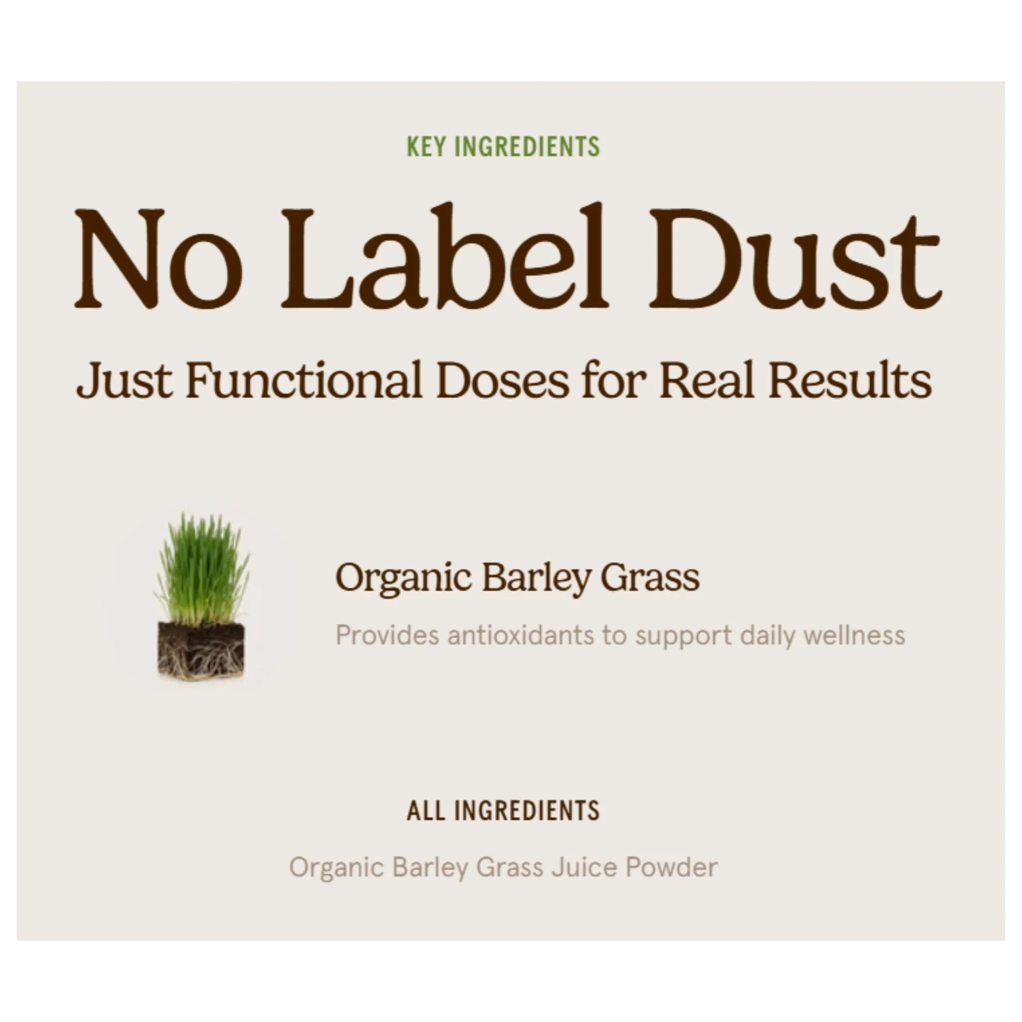 Organic Traditions Barley Grass Juice Powder - 150g - Nature's Source Inc
