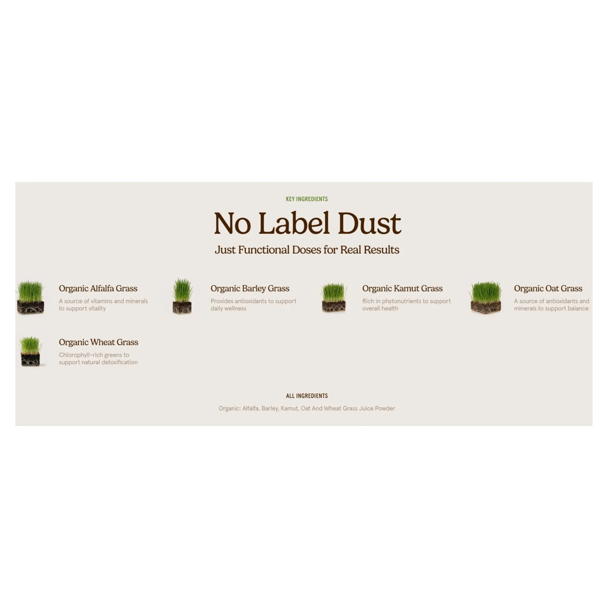Organic Traditions Super 5 Grass Juice Blend - 150g - Nature's Source Inc