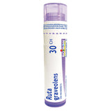 Boiron Ruta Graveolens 30CH