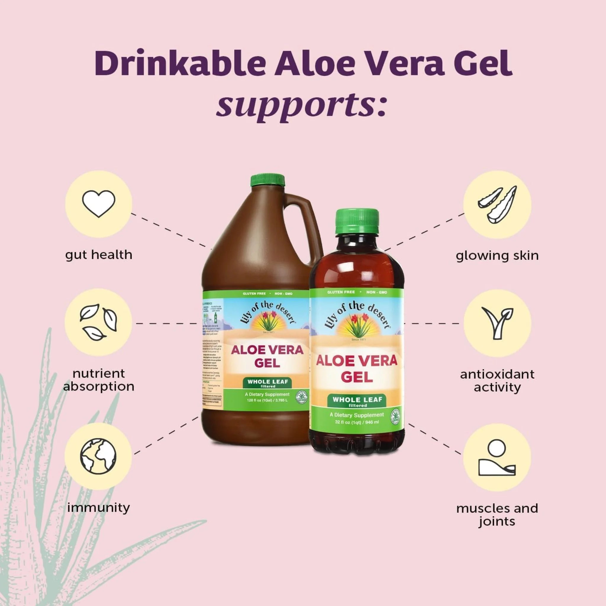 Lily of the Desert Aloe Vera Gel Whole Leaf Plastic 128 oz