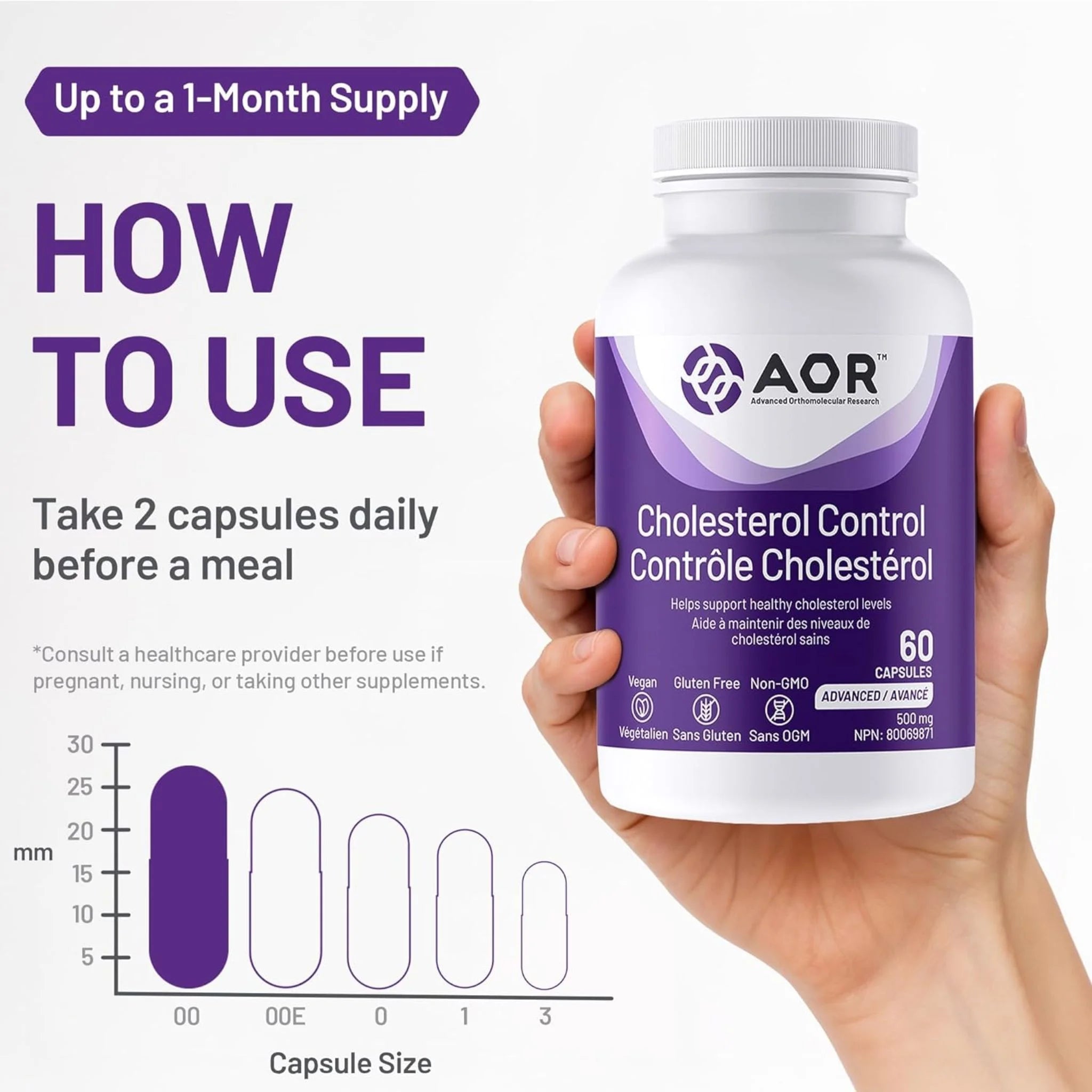 AOR Cholesterol Control 60 Veg - Caps - Nature's Source Inc