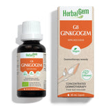 HerbalGem G8 GINKGOGEM 30ml