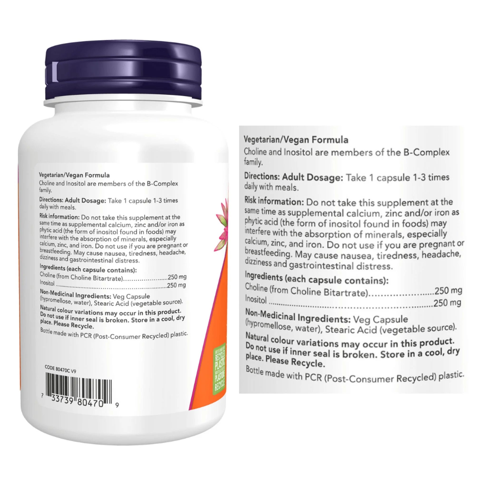 Now Choline & Inositol 100c