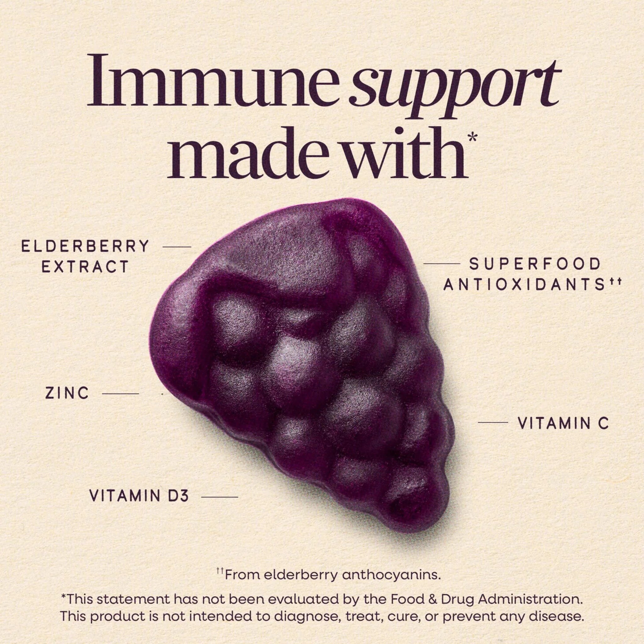Nature's Way Sambucus Elderberry Immune Support 60 Gummies