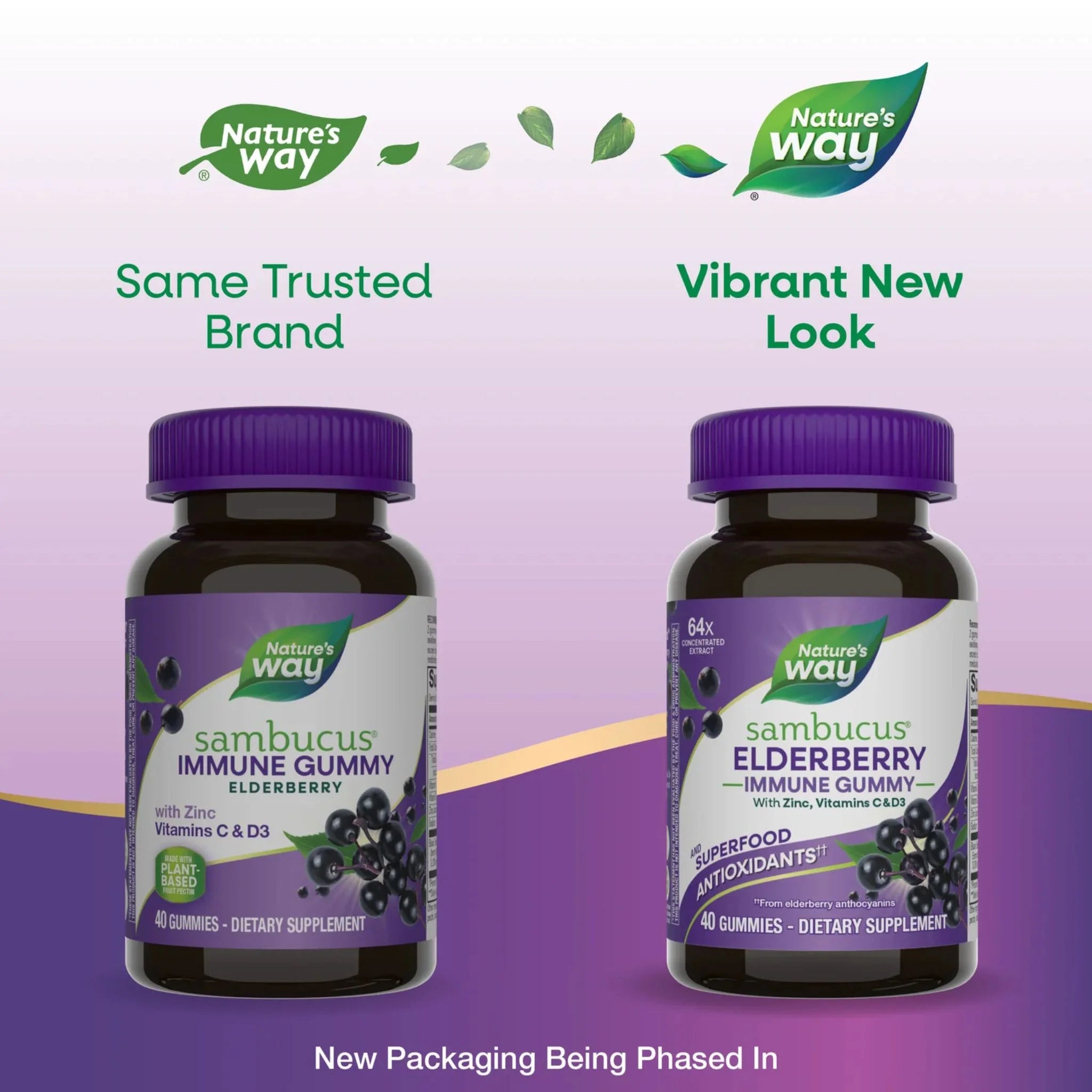 Nature's Way Sambucus Elderberry Immune Support 60 Gummies