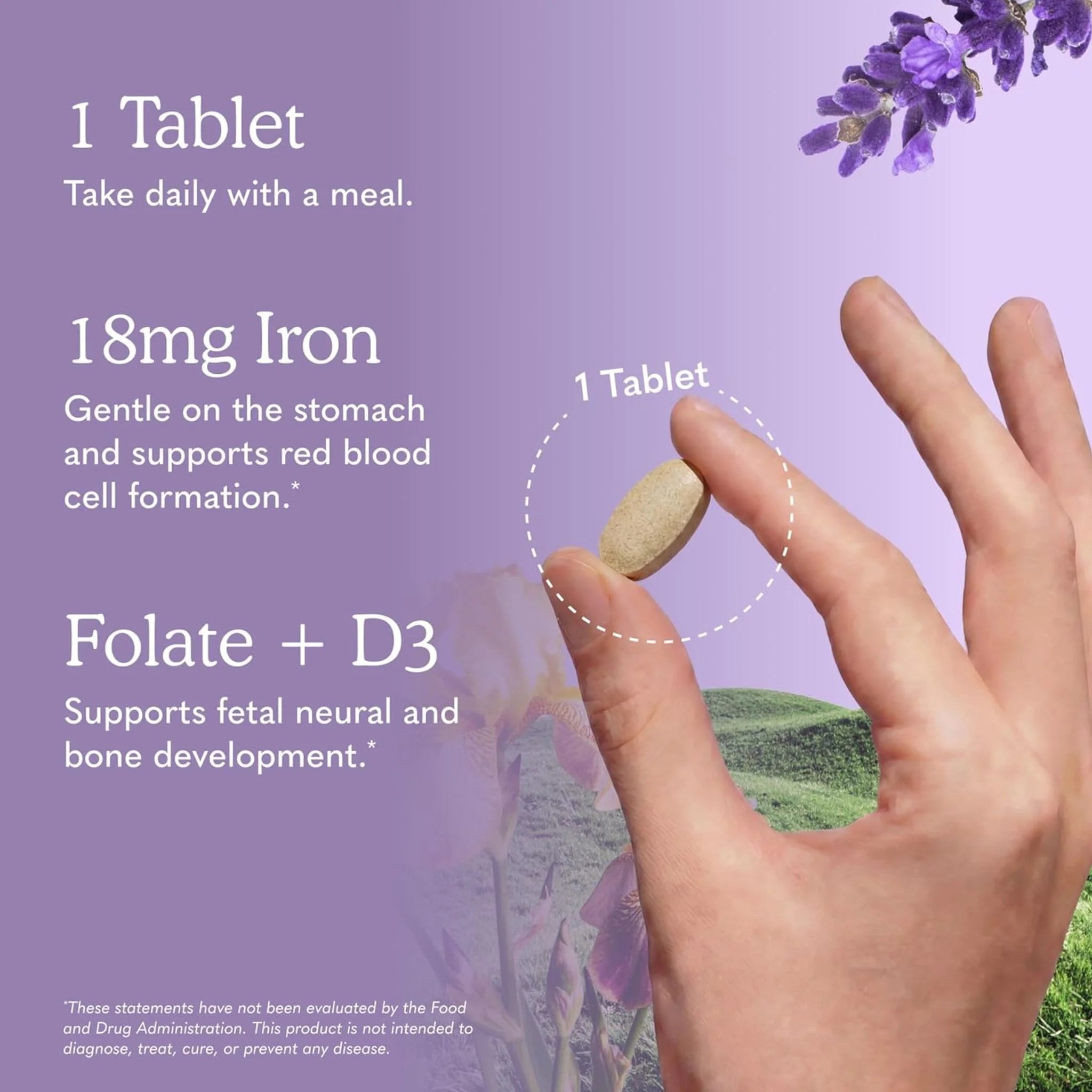 Garden Of Life Organics Prenatal Once Daily 30 Vegan Tablets