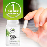 GNA Naturals Bamboo Silica with Biotin 90 Vegan Capsules - Nature's Source Inc