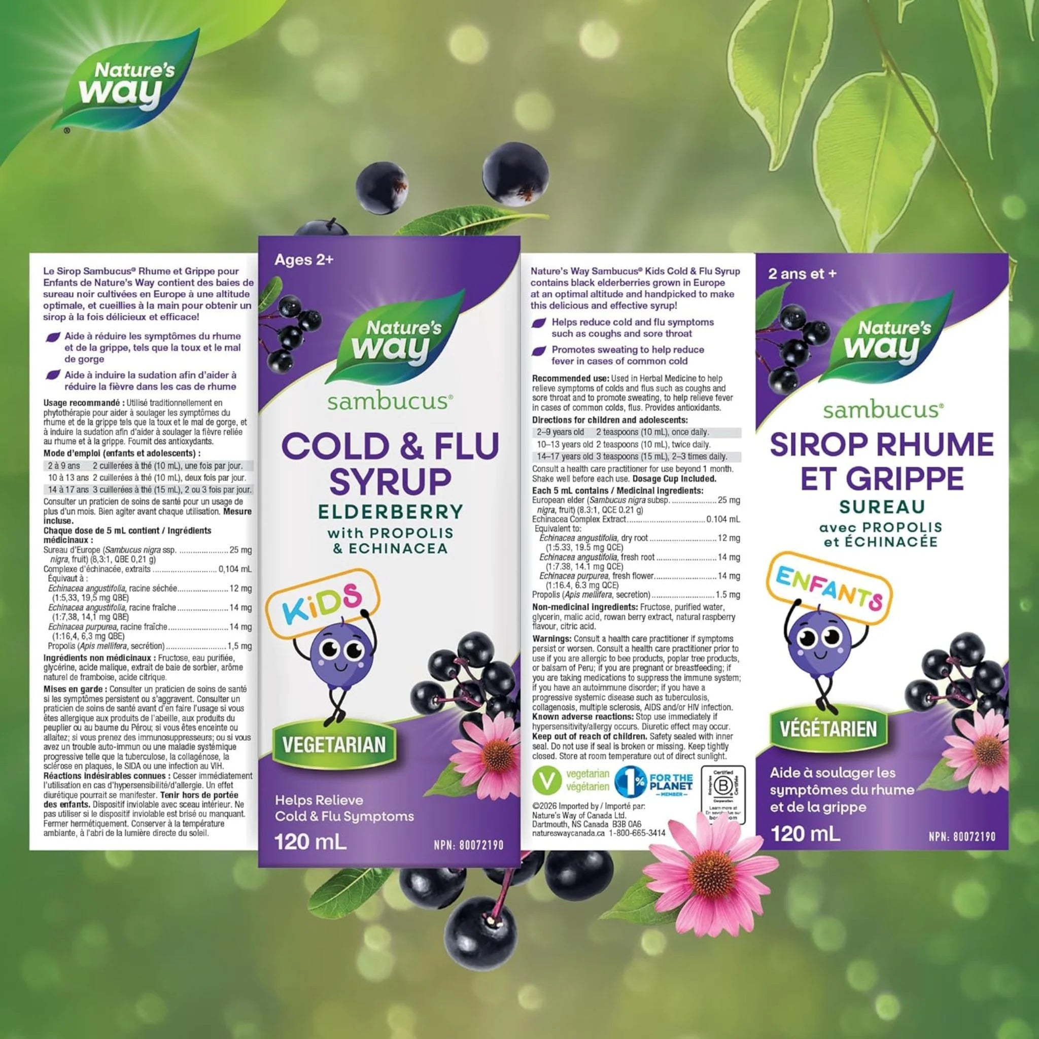 Natures Way Sambucus Elderberry For Kids - Cold And Flu - 120ml