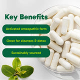 Organika Activated Charcoal 90vcaps