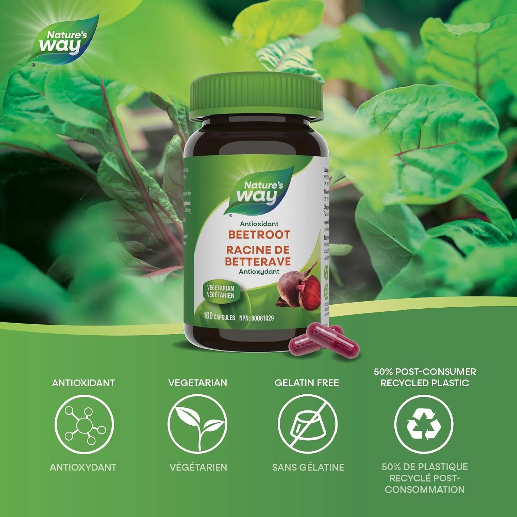 Nature's Way Beet Root Powder - 100 Veg Capsules