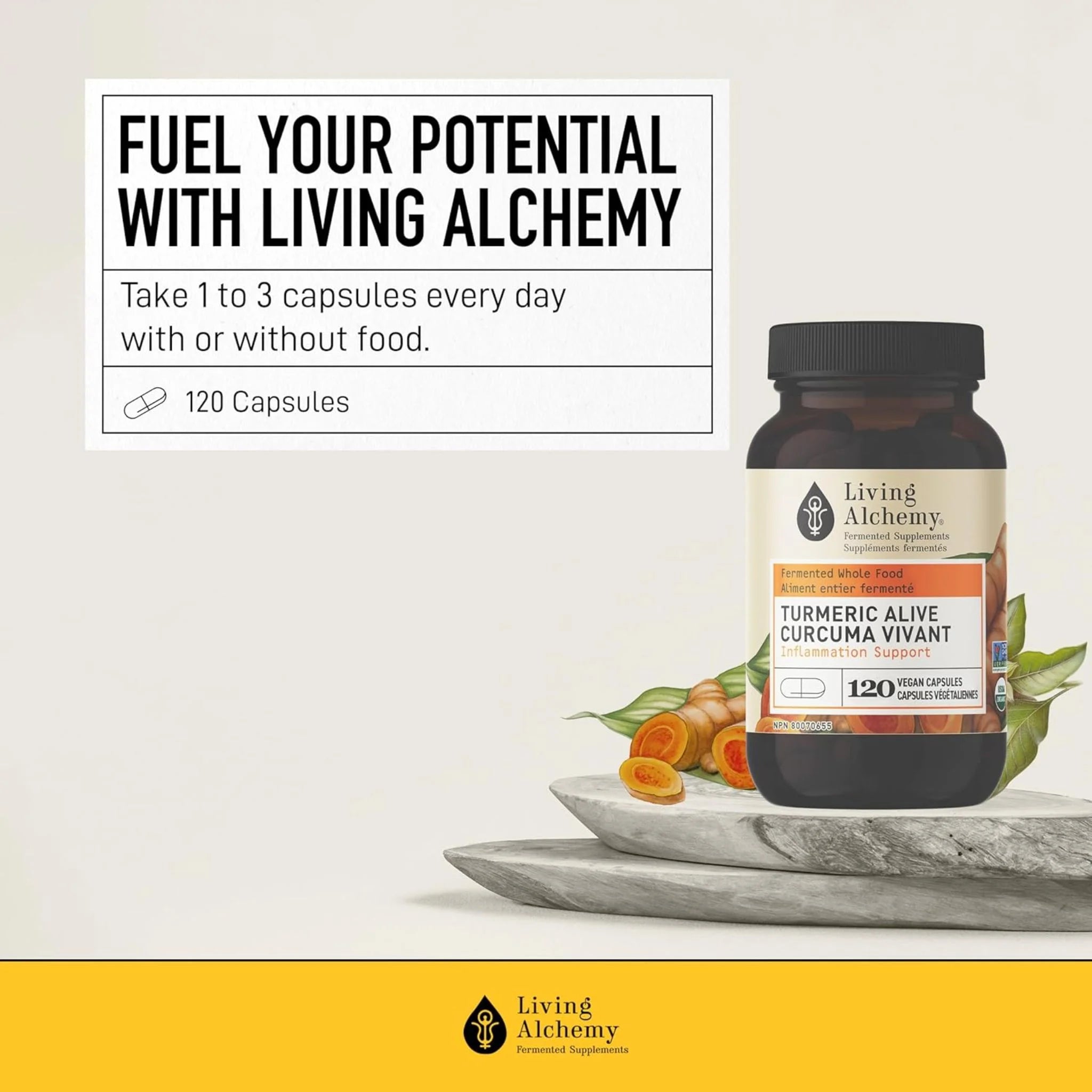 Living Alchemy Turmeric Alive 120 Capsules - Nature's Source Inc