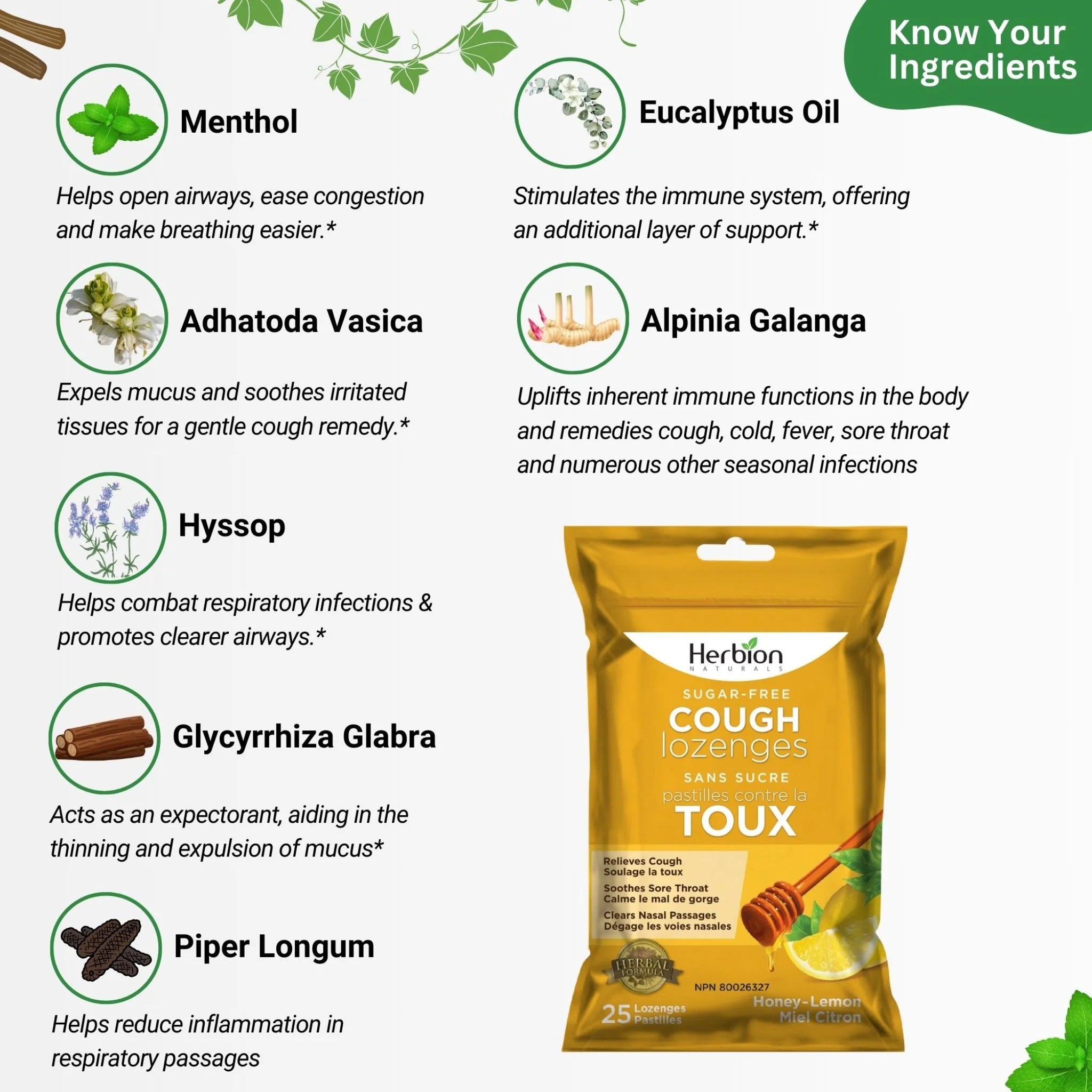 Herbion Sugar-Free Honey-Lemon Cough Lozenges - 25 Lozenges