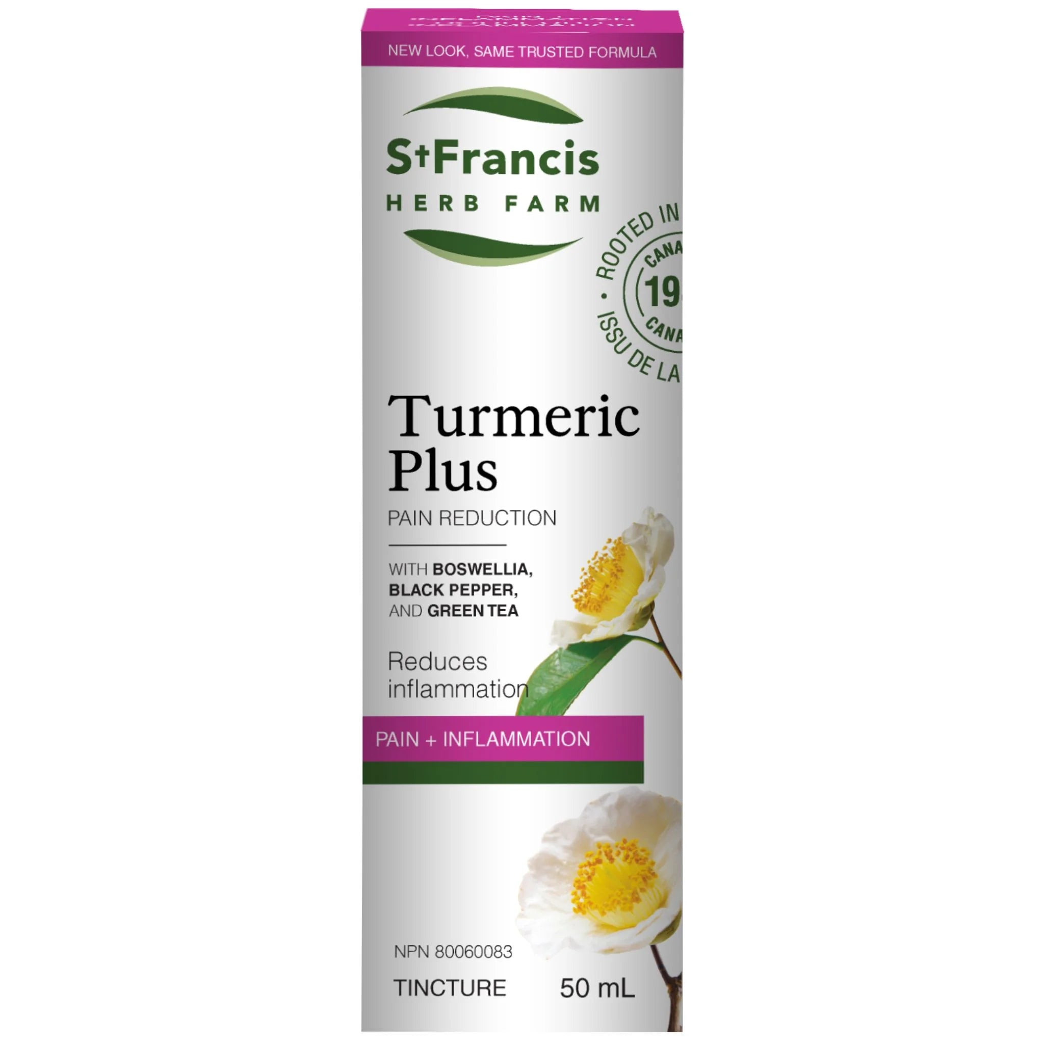 St. Francis Herb Turmeric Plus, 50ml - Nature's Source Inc