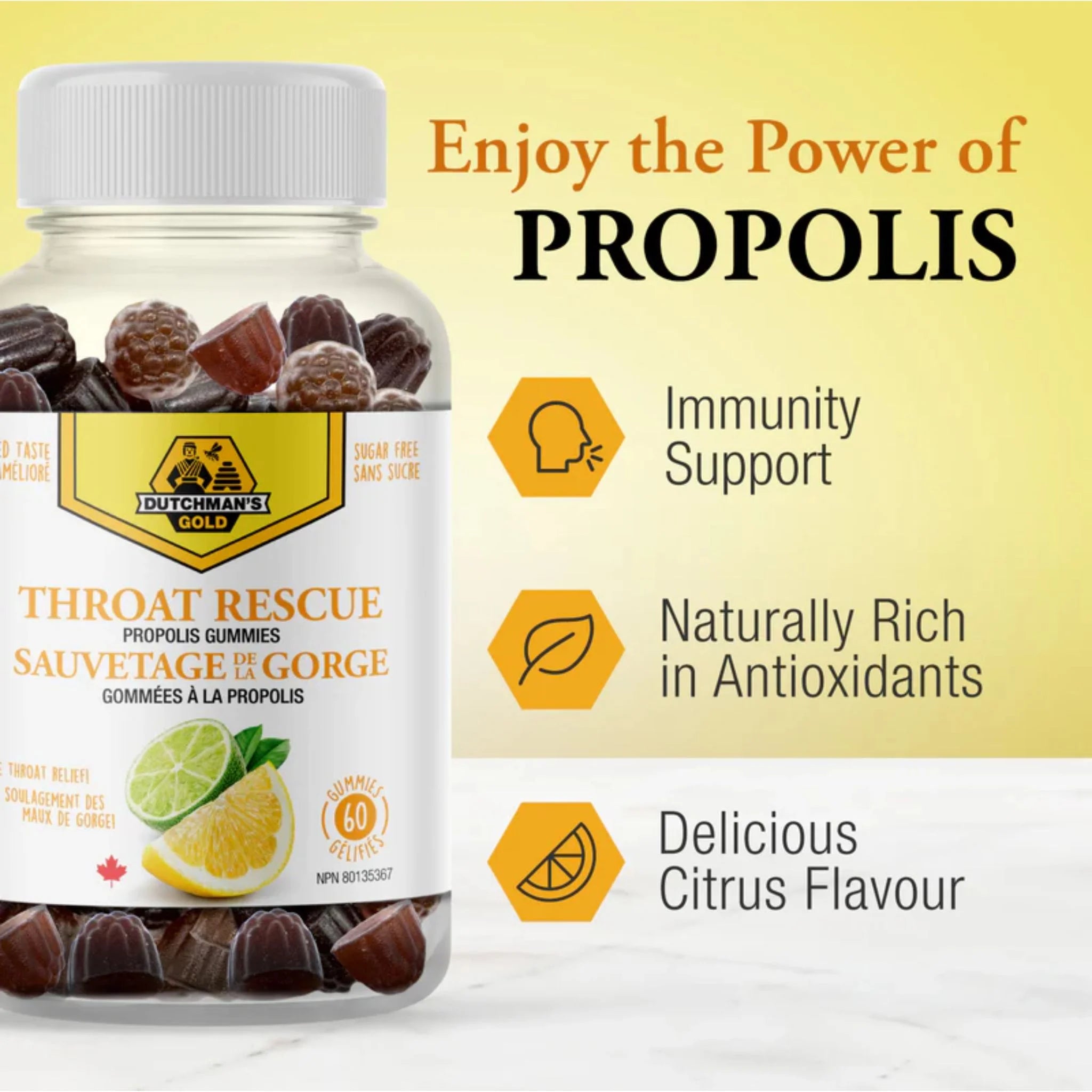 Dutchman's Gold Propolis Gummies 60gmy - Nature's Source Inc