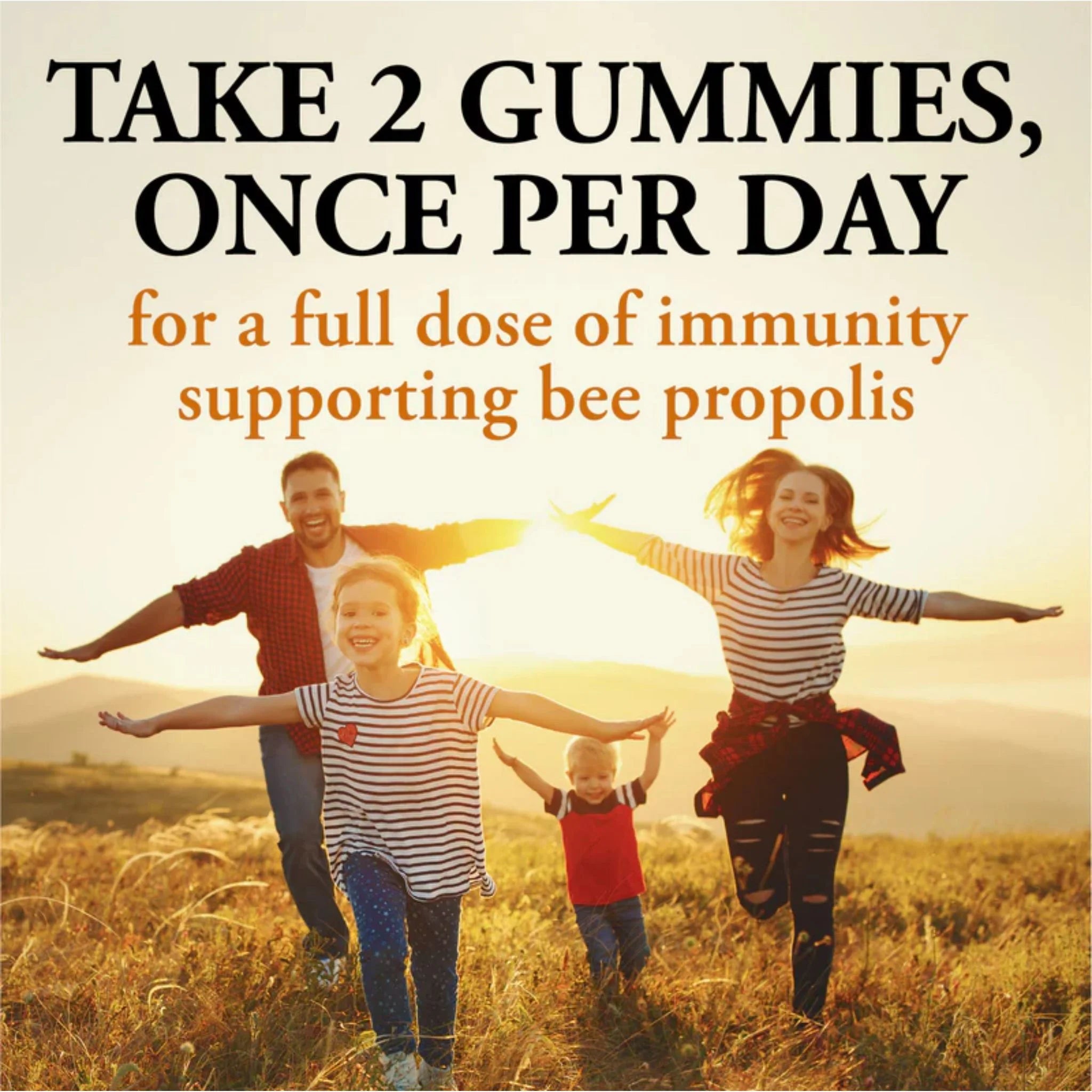 Dutchman's Gold Propolis Gummies 60gmy - Nature's Source Inc