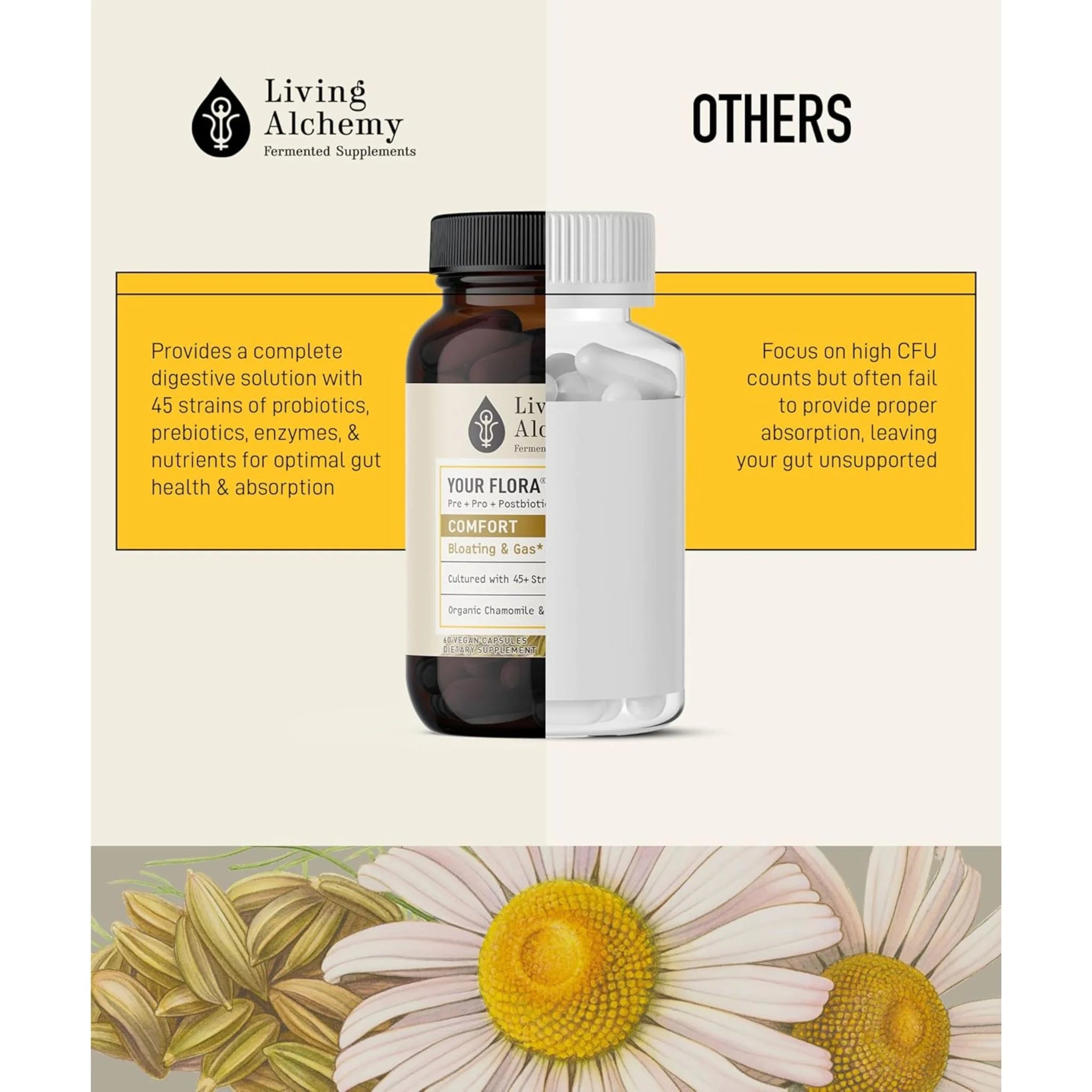 Living Alchemy Your Flora Comfort 120 Capsules - Nature's Source Inc