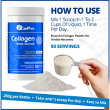 CanPrev Collagen Tendo Recover 250g