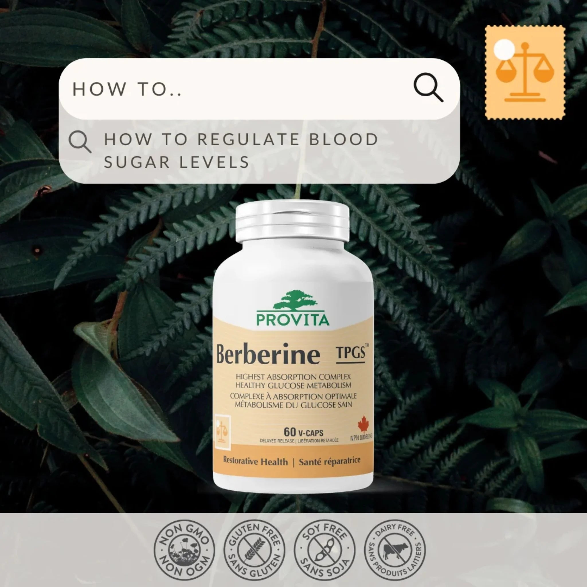 Provita Berberine TPGS 60 capsules