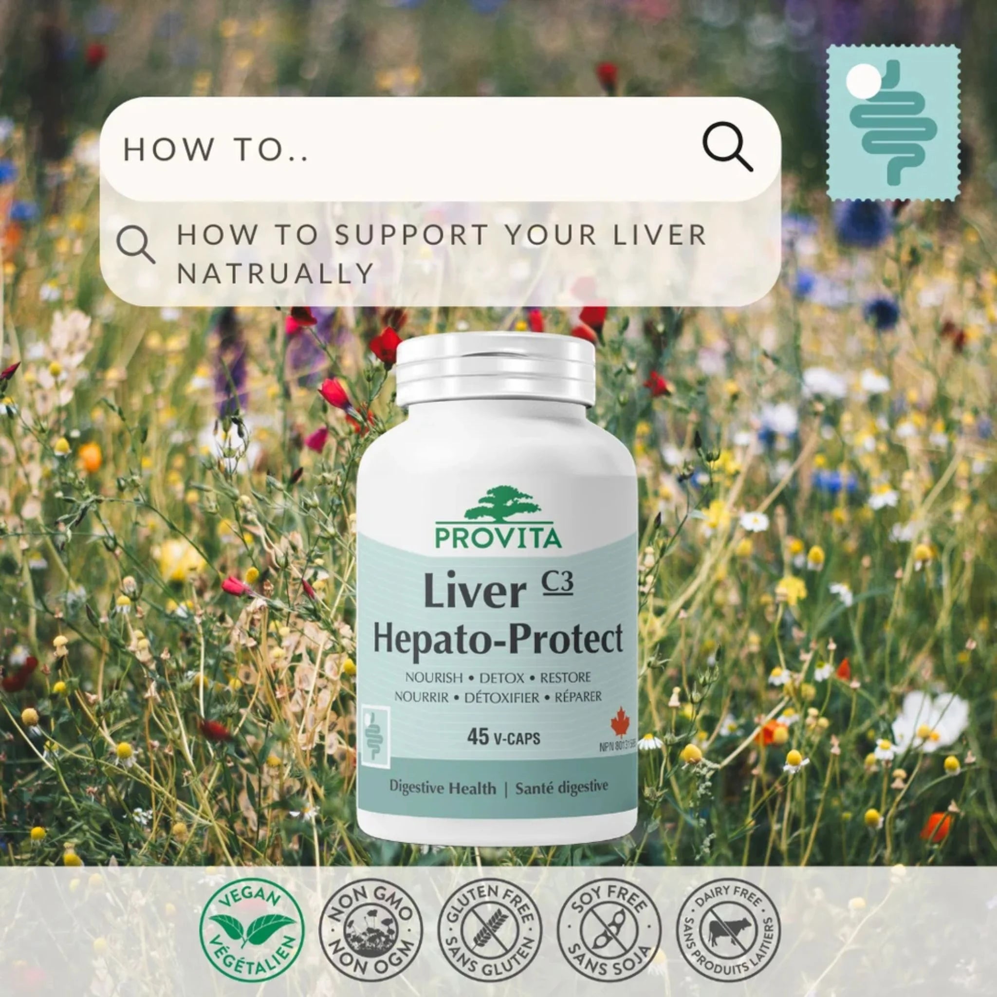 Provita Liver Hepato-Protect 45 capsules