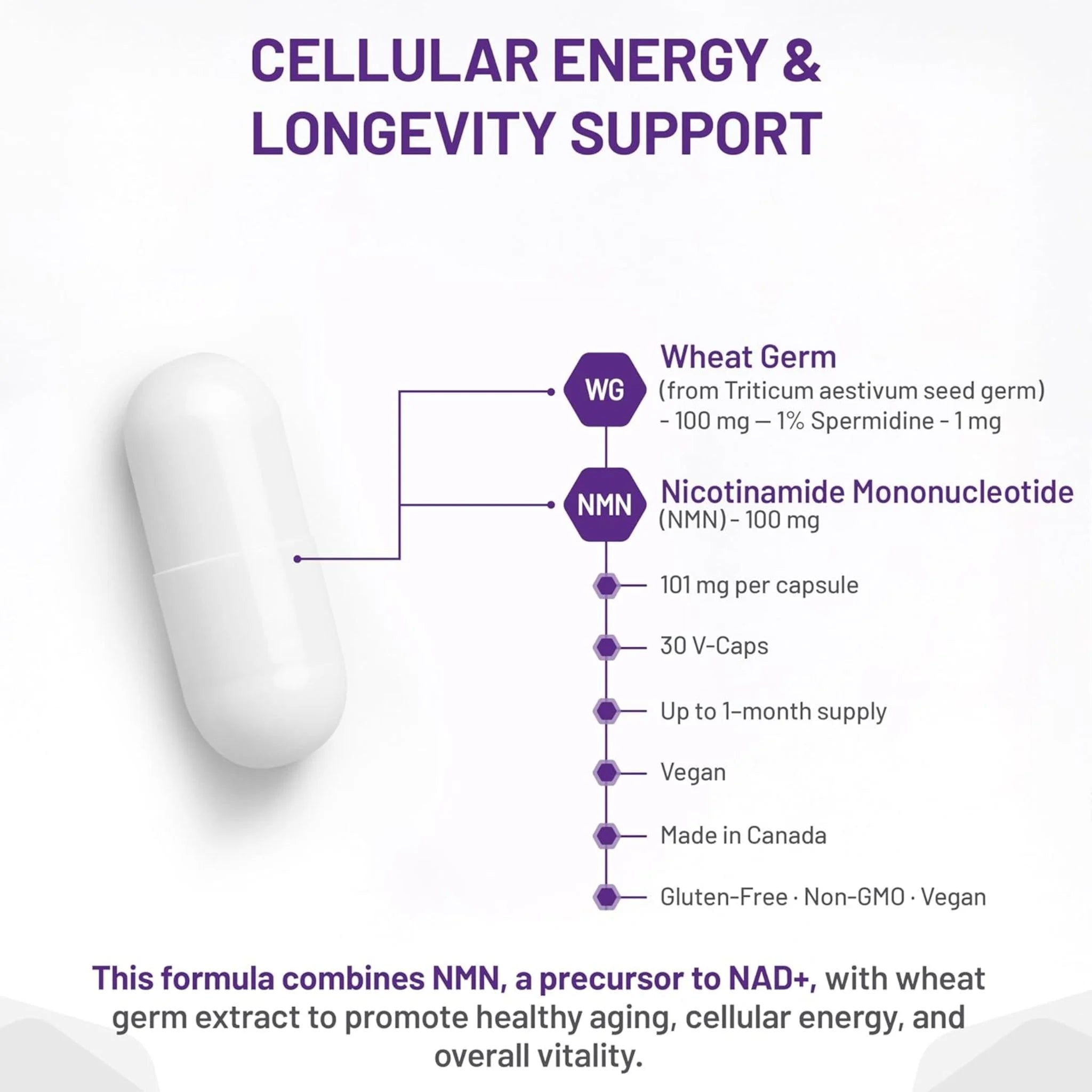 AOR NMN + Wheat Germ 30 Capsules