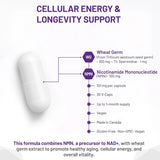 AOR NMN + Wheat Germ 30 Capsules