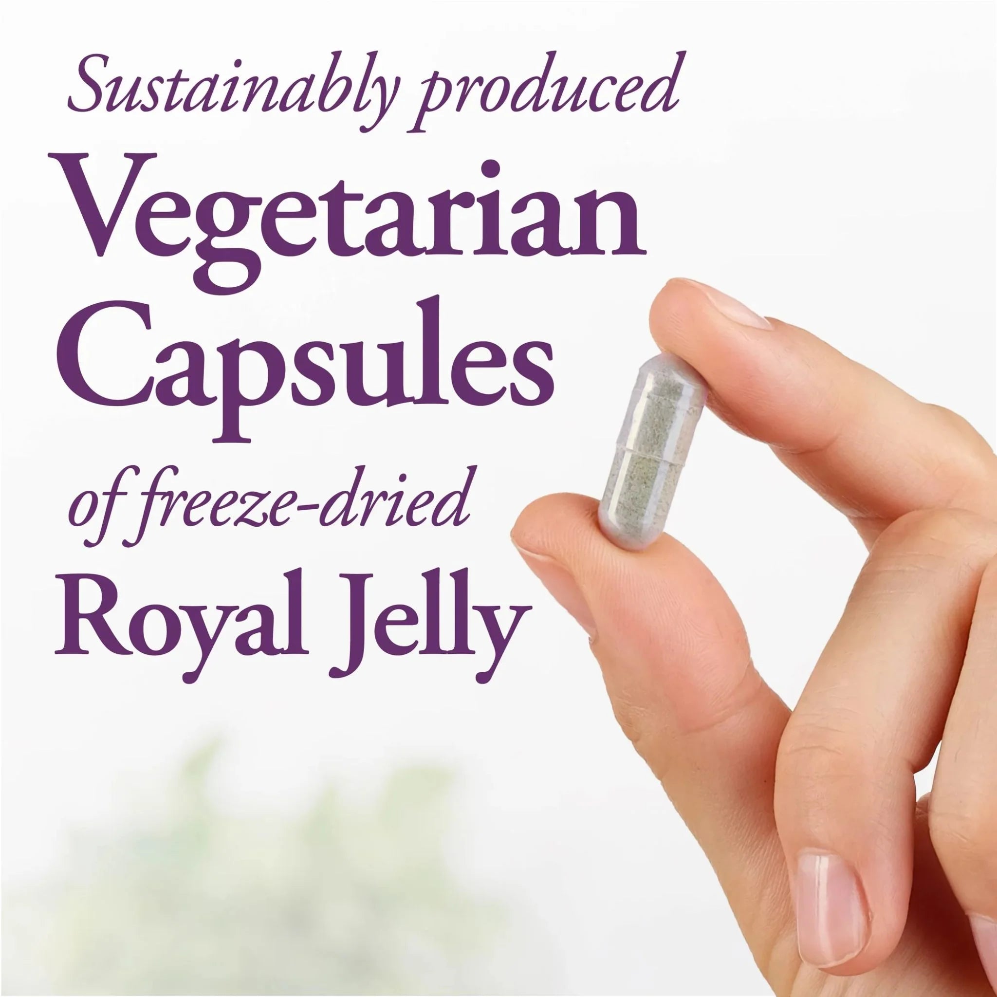 Dutchman's Gold Royal Jelly 90 Vegan Capsules - Nature's Source Inc