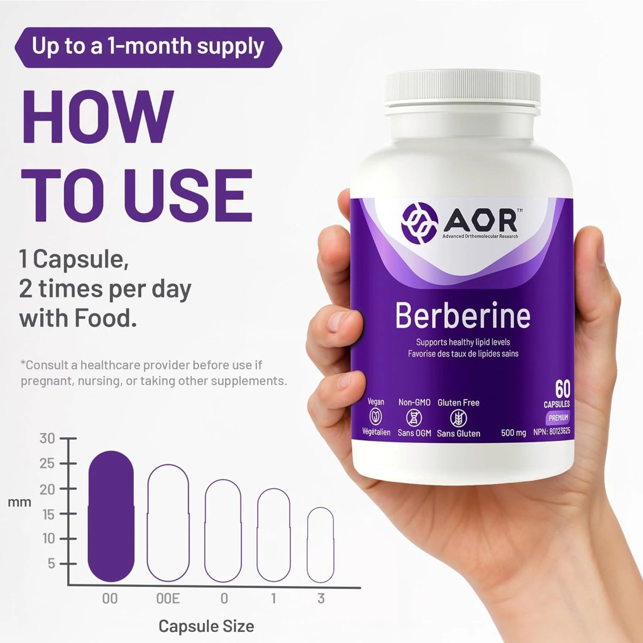 AOR Berberine 500mg 60 Capsules - Nature's Source Inc