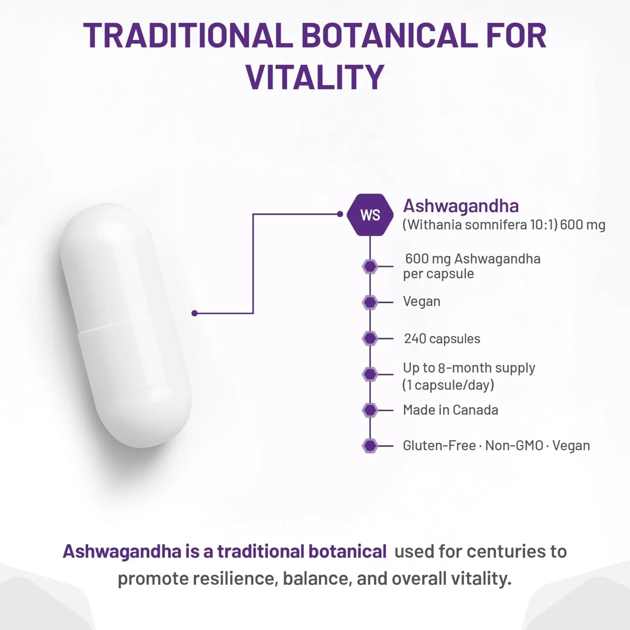 AOR Gandha-600 240 Capsules