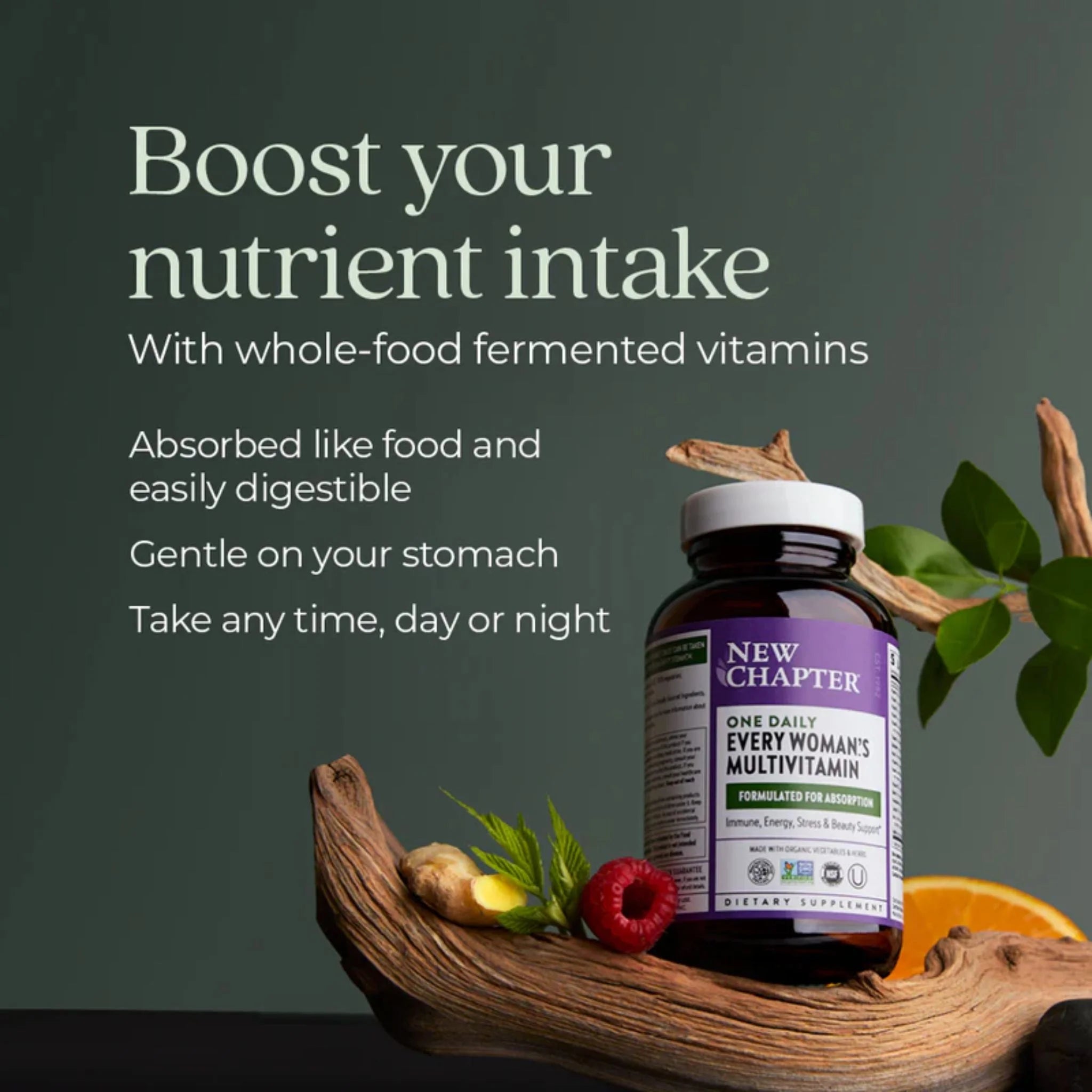 New Chapter Every Woman's One Daily 30 Tablets