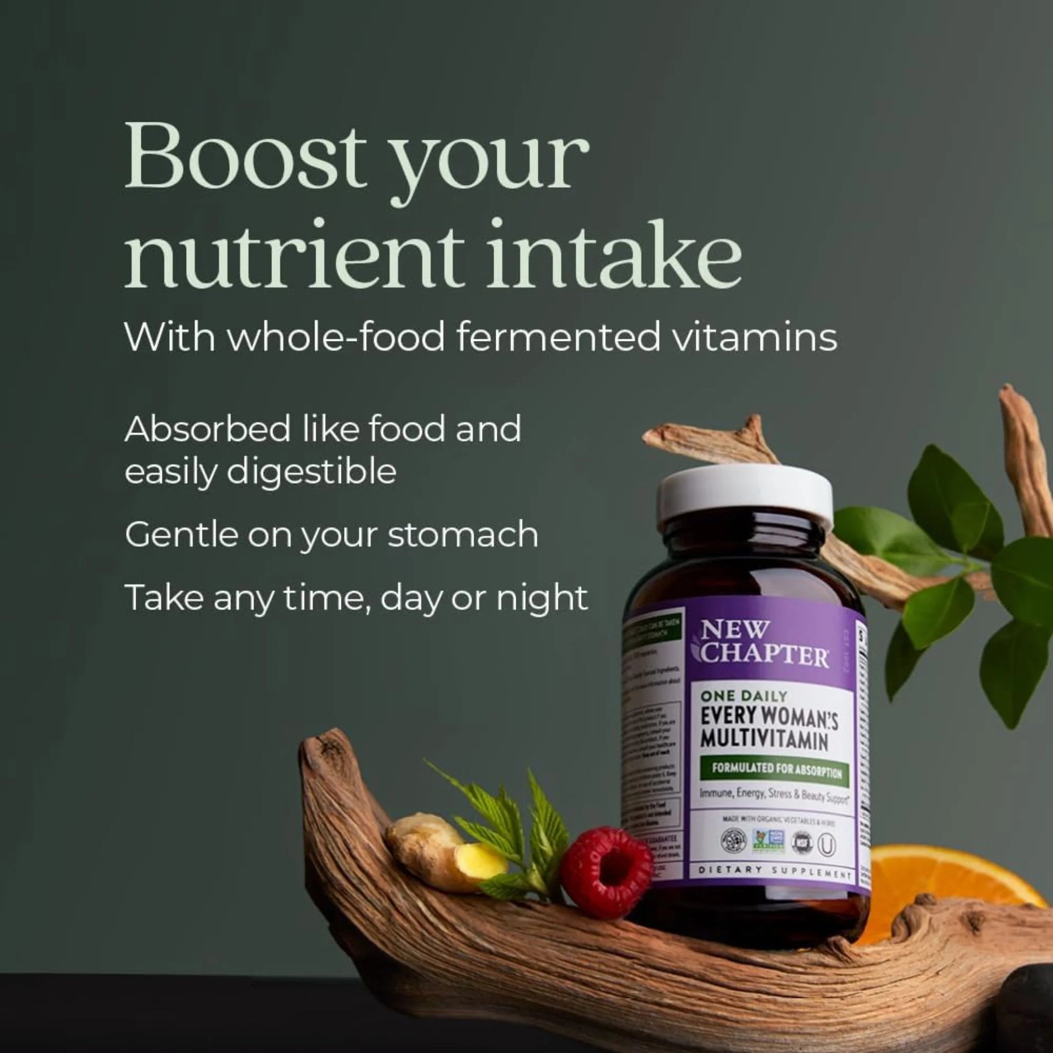 New Chapter Every Woman's One Daily 96 Tablets