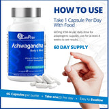 CanPrev Ashwagandha Body And Mind 600mg 60 Vegan Capsules - Nature's Source Inc