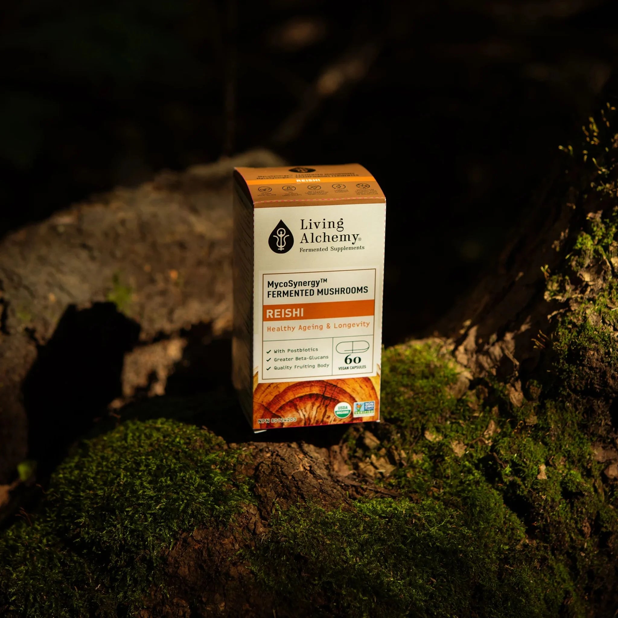 Living Alchemy MycoSynergy Fermented Mushrooms Reishi 60 Vegan Capsules