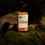 Living Alchemy MycoSynergy Fermented Mushrooms Reishi 60 Vegan Capsules