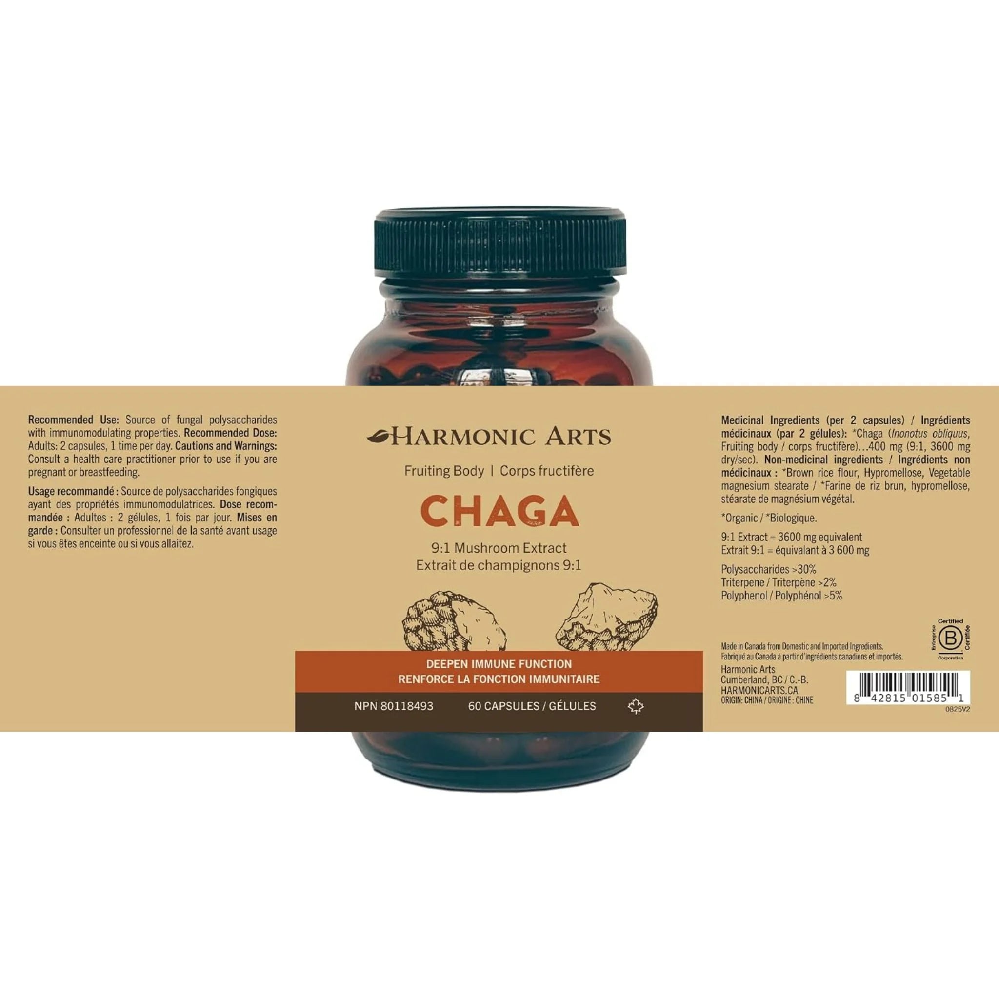 Harmonic Arts Chaga 9:1 Mushroom Extract 60 Capsules