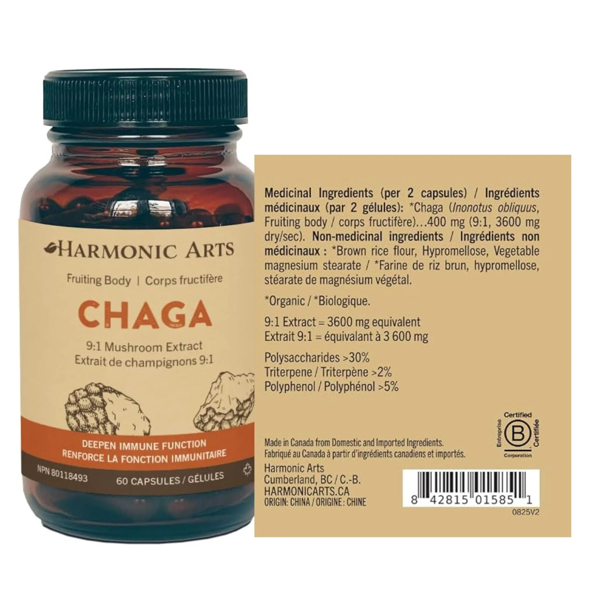 Harmonic Arts Chaga 9:1 Mushroom Extract 60 Capsules